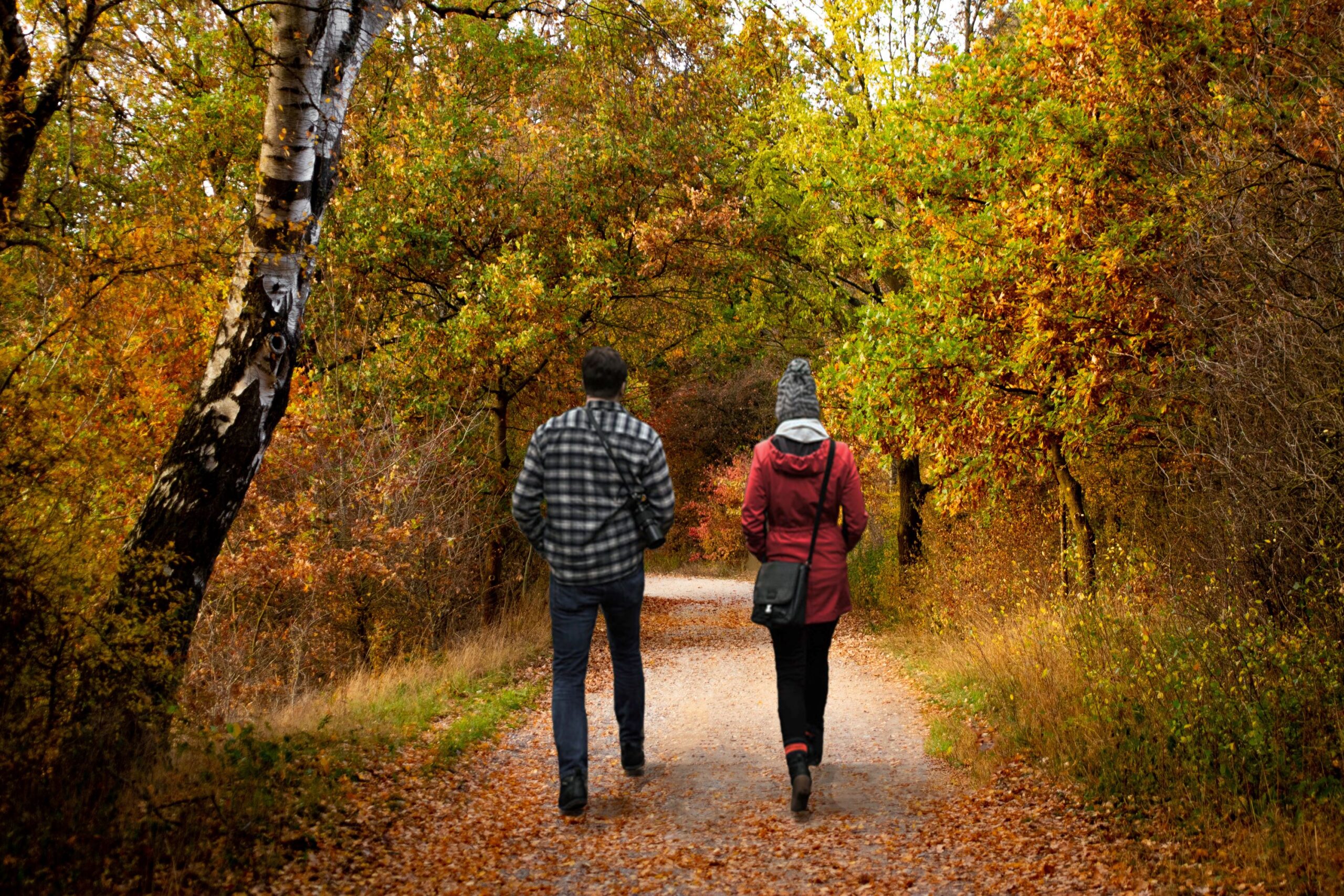 Zwei Personen laufen nebeneinander in einem Wald 